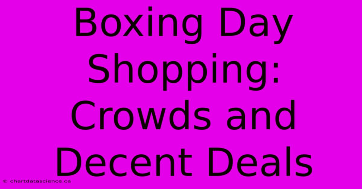 Boxing Day Shopping: Crowds And Decent Deals