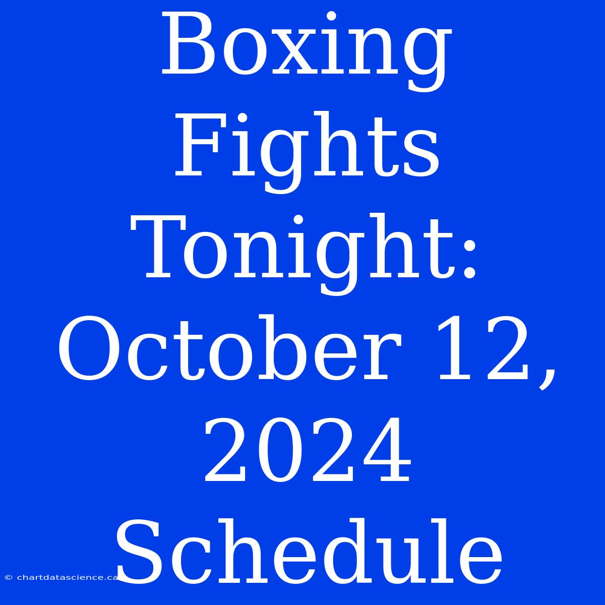 Boxing Fights Tonight: October 12, 2024 Schedule