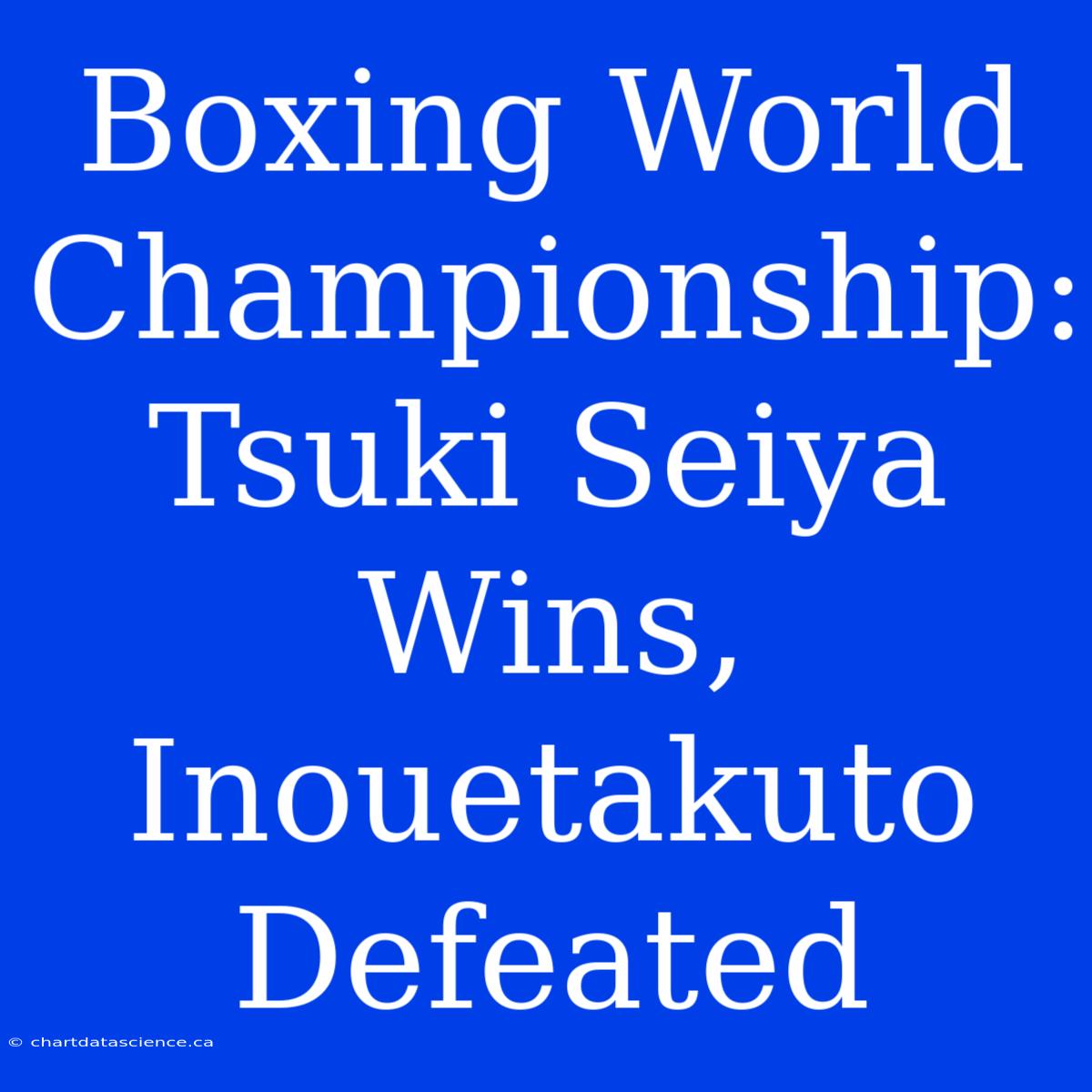 Boxing World Championship: Tsuki Seiya Wins, Inouetakuto Defeated