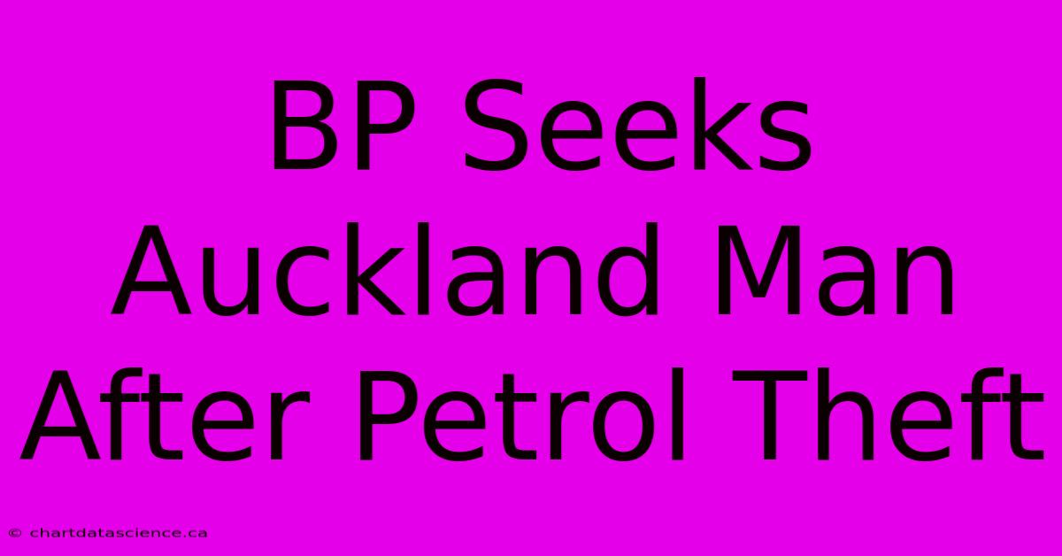 BP Seeks Auckland Man After Petrol Theft