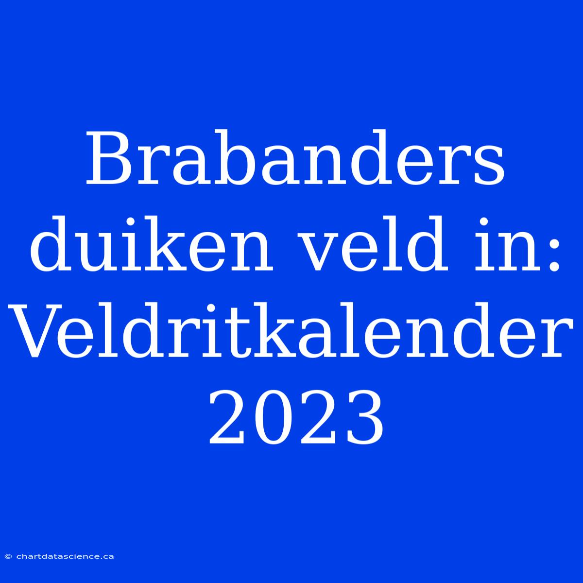 Brabanders Duiken Veld In: Veldritkalender 2023