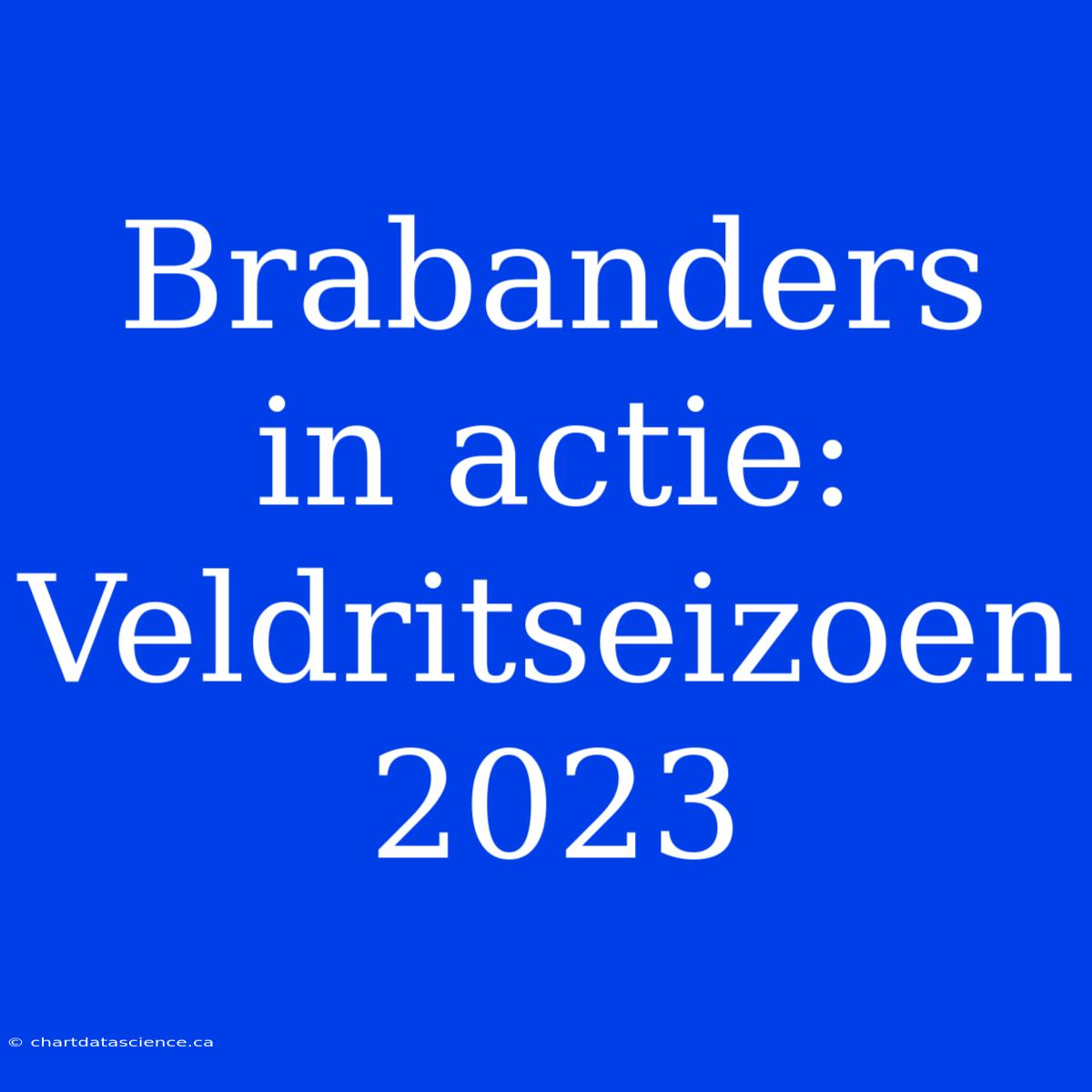 Brabanders In Actie: Veldritseizoen 2023