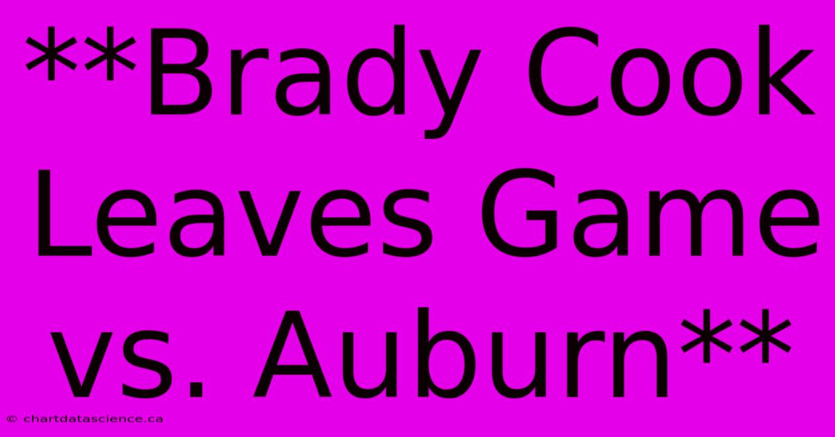 **Brady Cook Leaves Game Vs. Auburn**