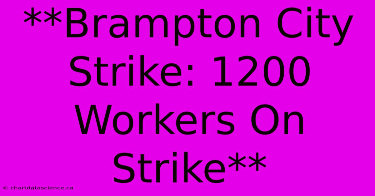 **Brampton City Strike: 1200 Workers On Strike** 