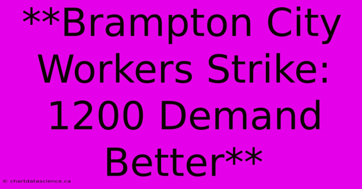 **Brampton City Workers Strike: 1200 Demand Better**