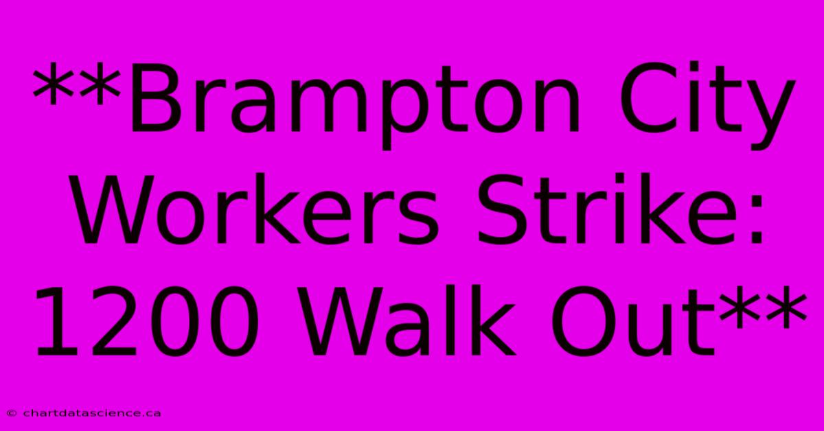 **Brampton City Workers Strike: 1200 Walk Out**