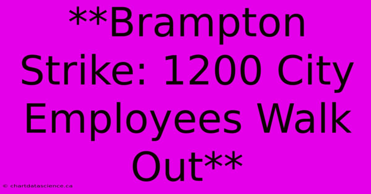 **Brampton Strike: 1200 City Employees Walk Out**