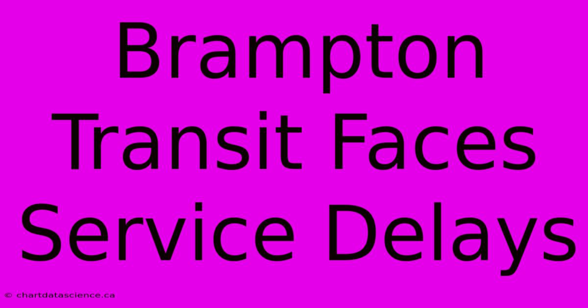 Brampton Transit Faces Service Delays