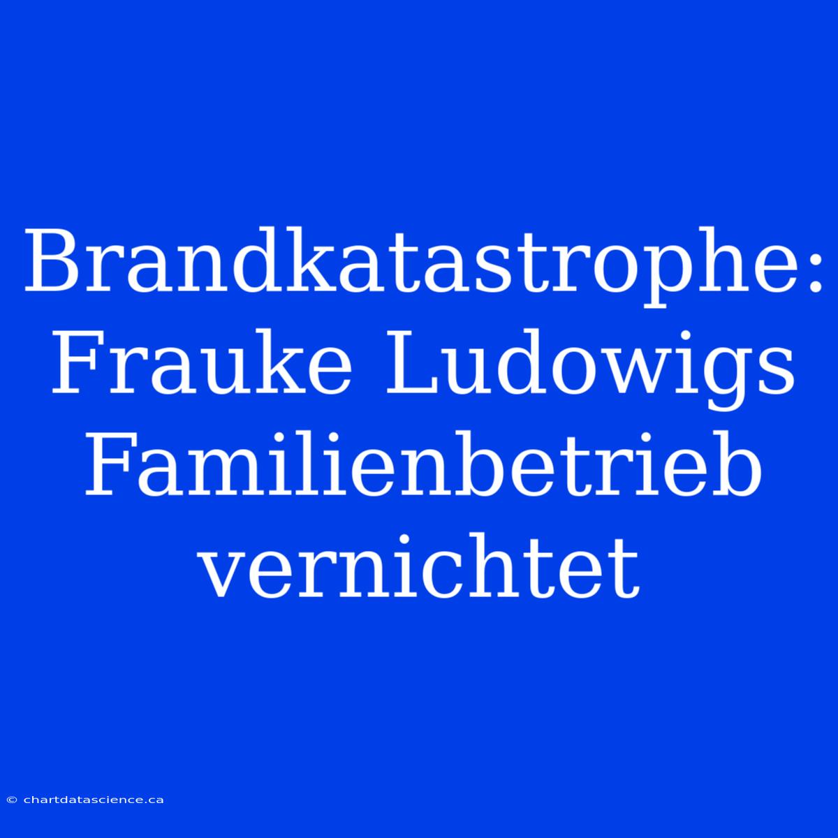 Brandkatastrophe: Frauke Ludowigs Familienbetrieb Vernichtet