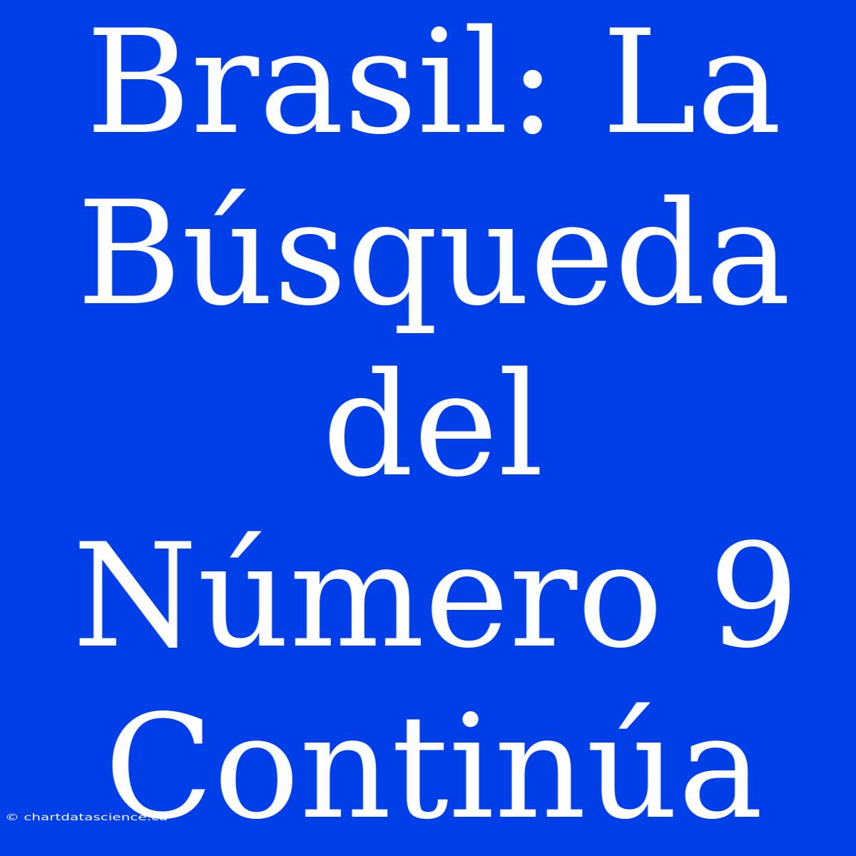 Brasil: La Búsqueda Del Número 9 Continúa