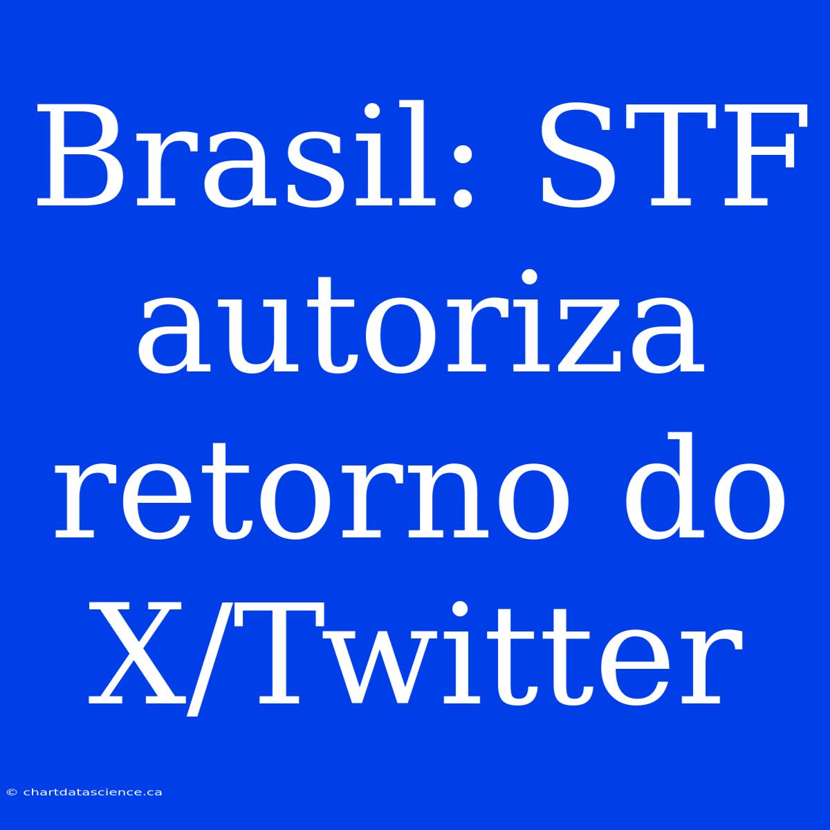 Brasil: STF Autoriza Retorno Do X/Twitter