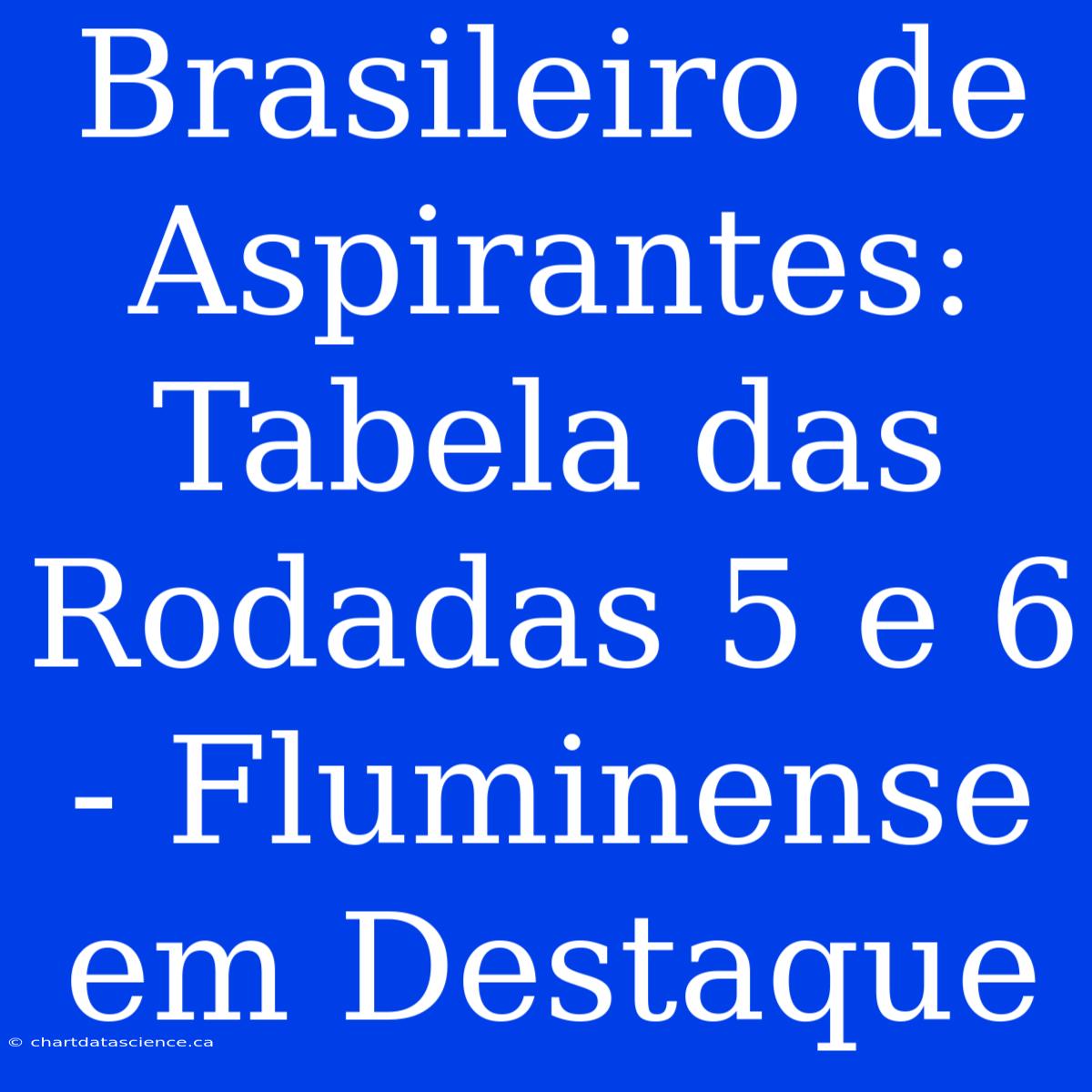 Brasileiro De Aspirantes: Tabela Das Rodadas 5 E 6 - Fluminense Em Destaque