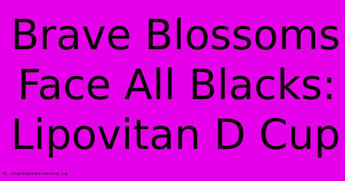 Brave Blossoms Face All Blacks: Lipovitan D Cup