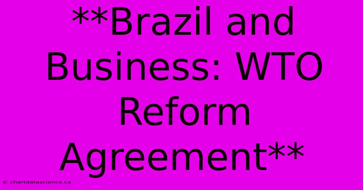 **Brazil And Business: WTO Reform Agreement** 