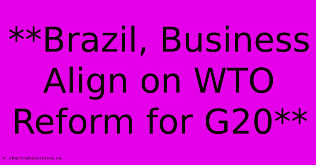 **Brazil, Business Align On WTO Reform For G20**