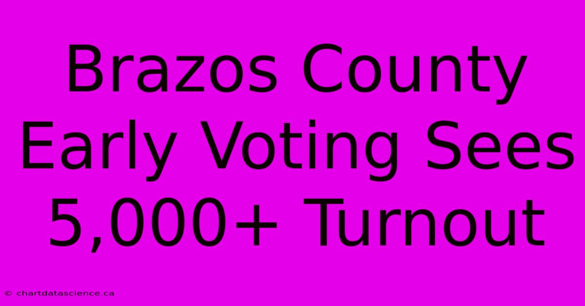 Brazos County Early Voting Sees 5,000+ Turnout