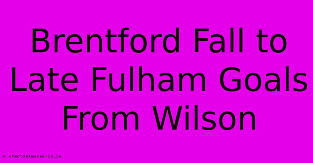 Brentford Fall To Late Fulham Goals From Wilson