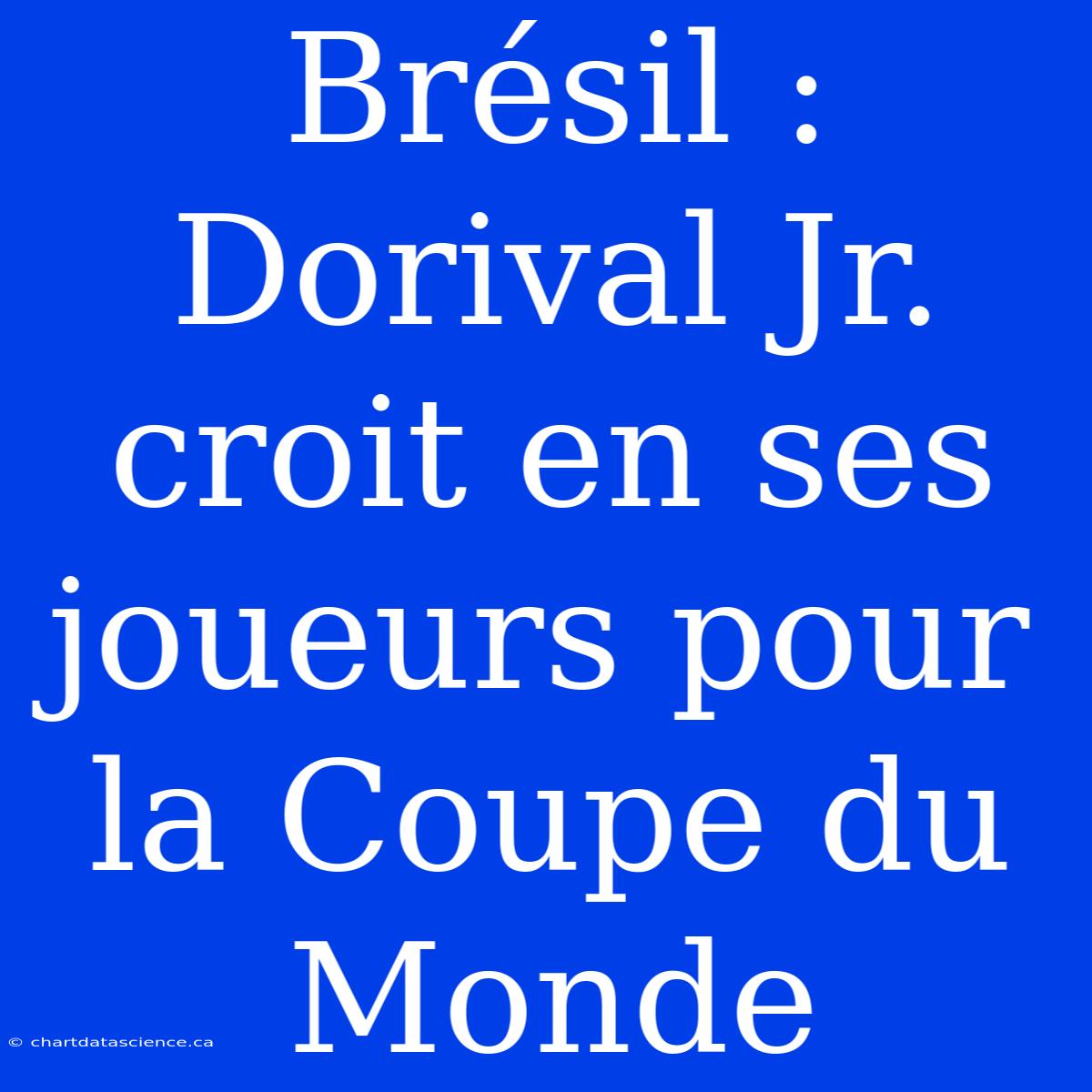 Brésil : Dorival Jr. Croit En Ses Joueurs Pour La Coupe Du Monde