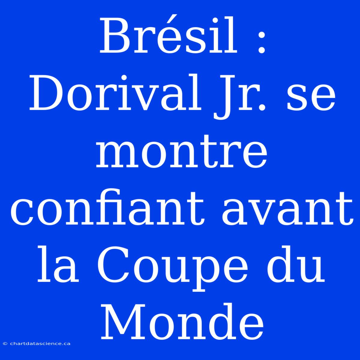 Brésil : Dorival Jr. Se Montre Confiant Avant La Coupe Du Monde