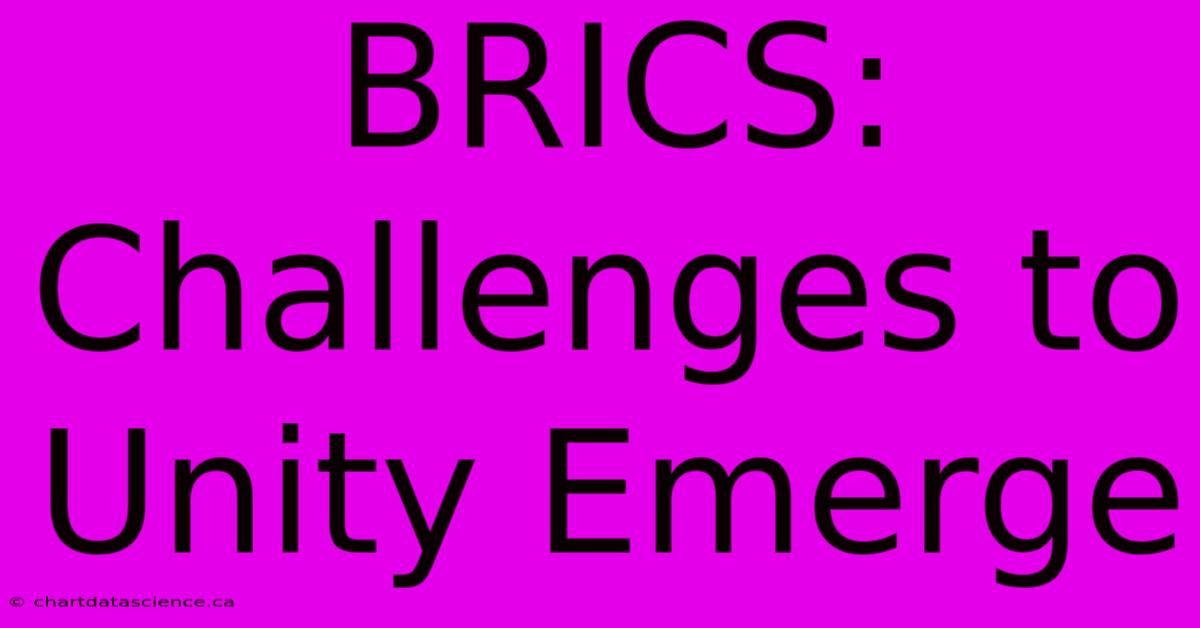 BRICS:  Challenges To Unity Emerge