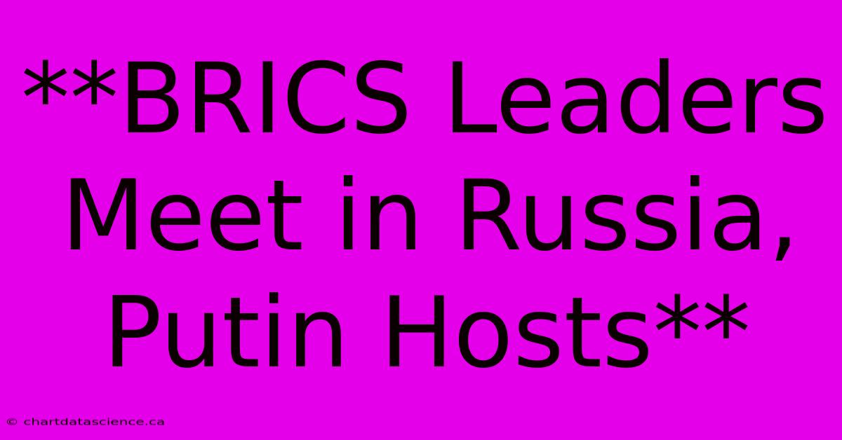 **BRICS Leaders Meet In Russia, Putin Hosts** 