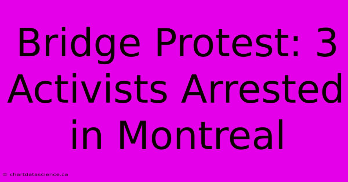 Bridge Protest: 3 Activists Arrested In Montreal