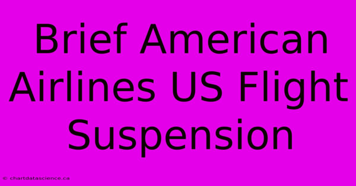 Brief American Airlines US Flight Suspension