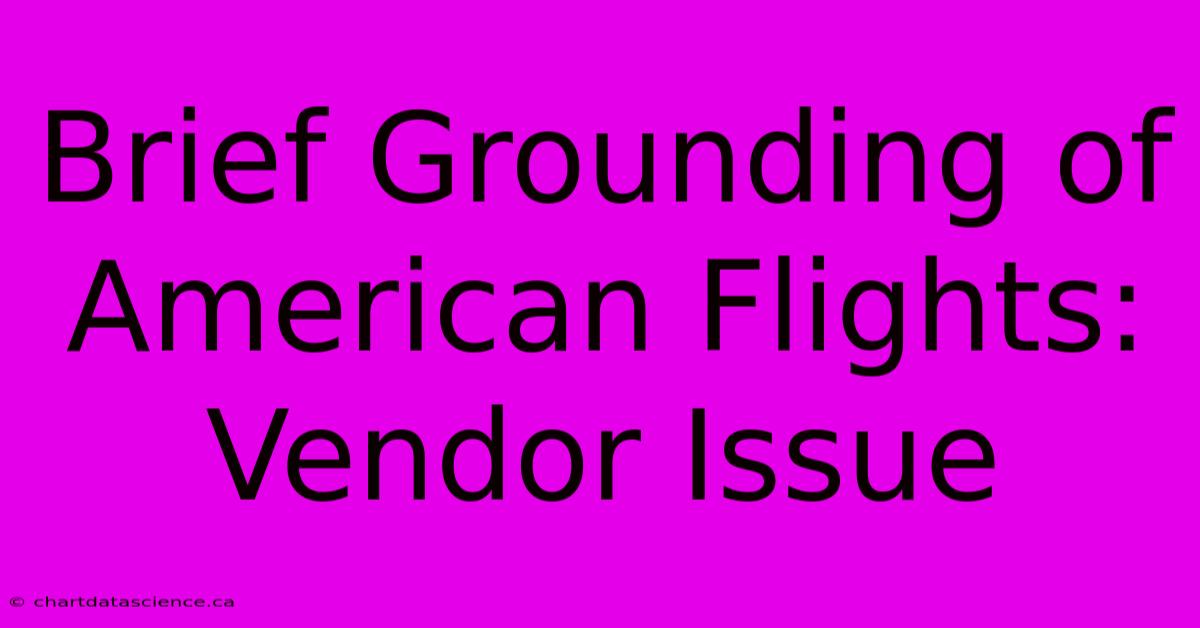 Brief Grounding Of American Flights: Vendor Issue