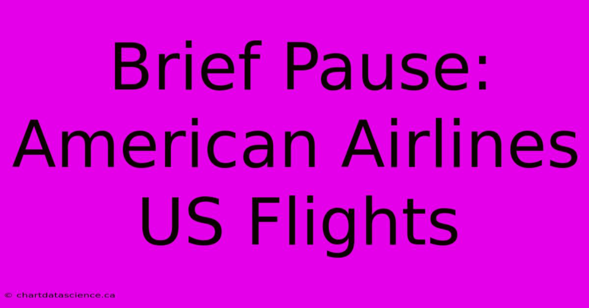 Brief Pause: American Airlines US Flights