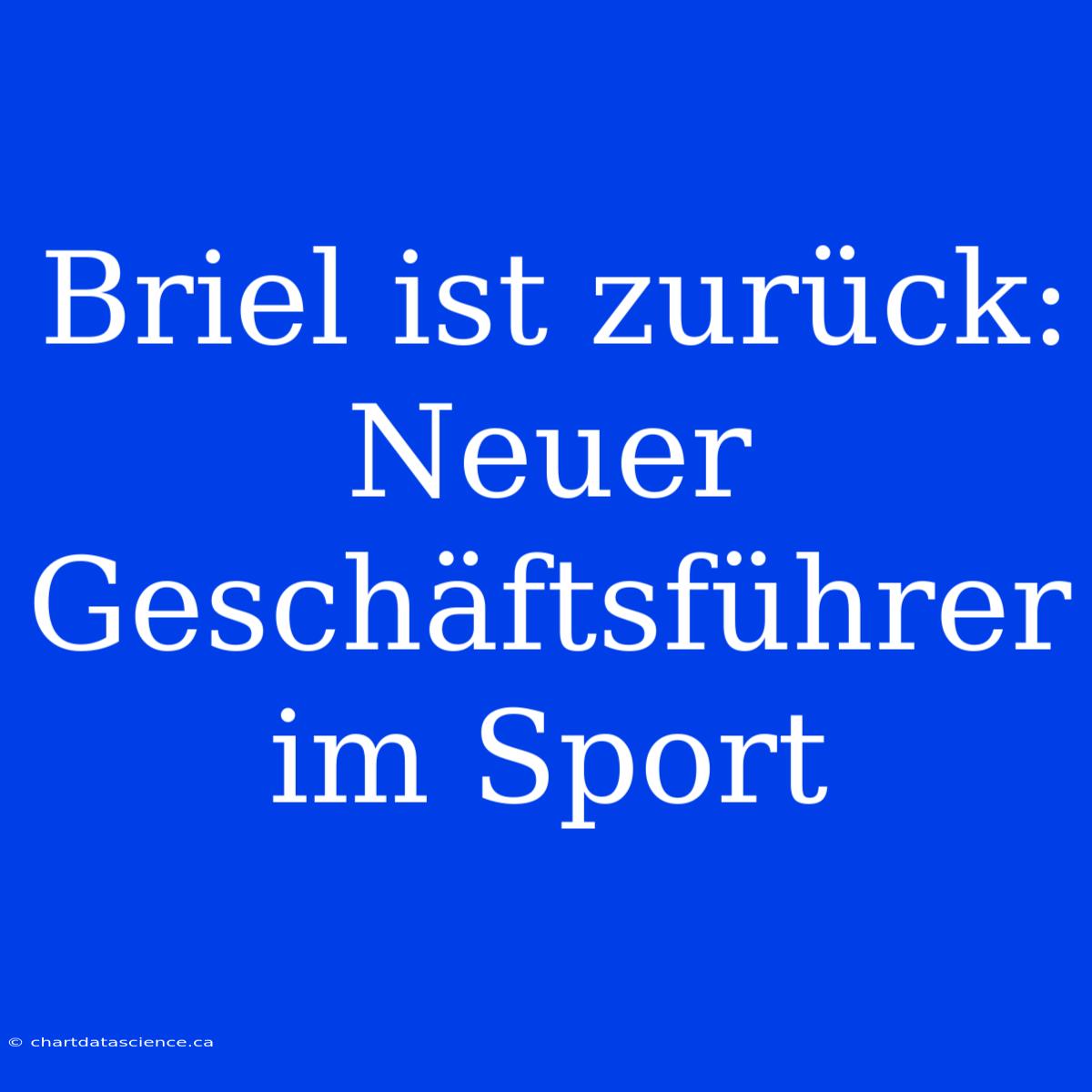 Briel Ist Zurück: Neuer Geschäftsführer Im Sport