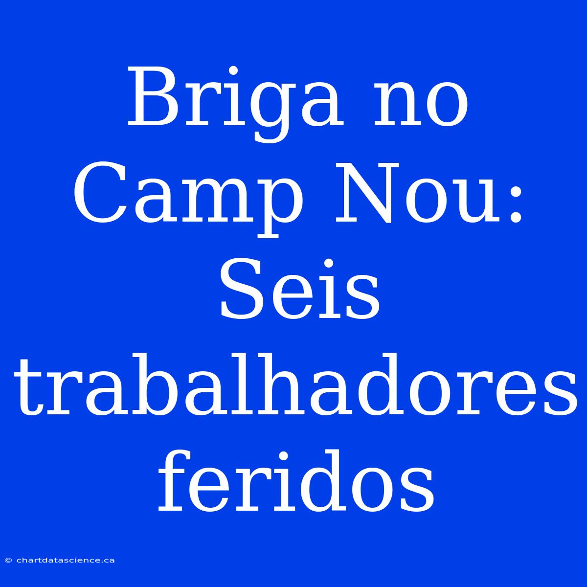 Briga No Camp Nou: Seis Trabalhadores Feridos