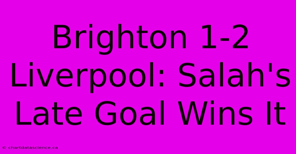 Brighton 1-2 Liverpool: Salah's Late Goal Wins It 