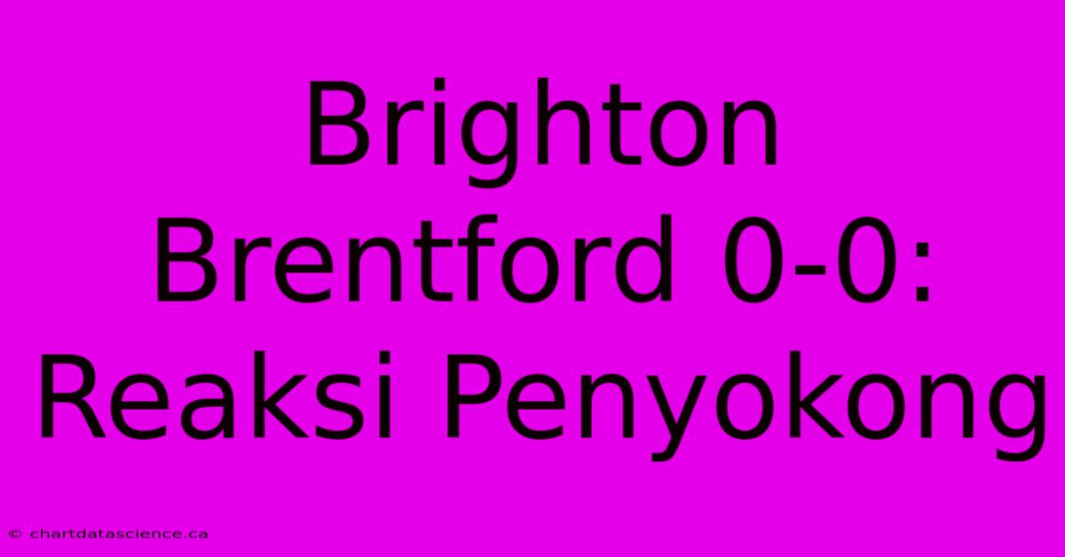 Brighton Brentford 0-0: Reaksi Penyokong