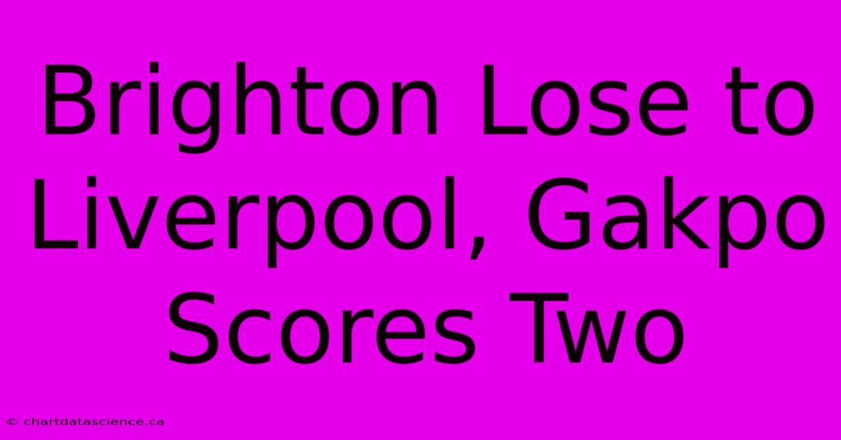 Brighton Lose To Liverpool, Gakpo Scores Two