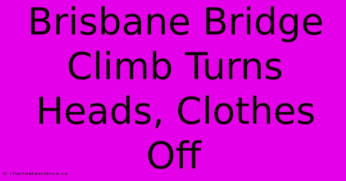 Brisbane Bridge Climb Turns Heads, Clothes Off