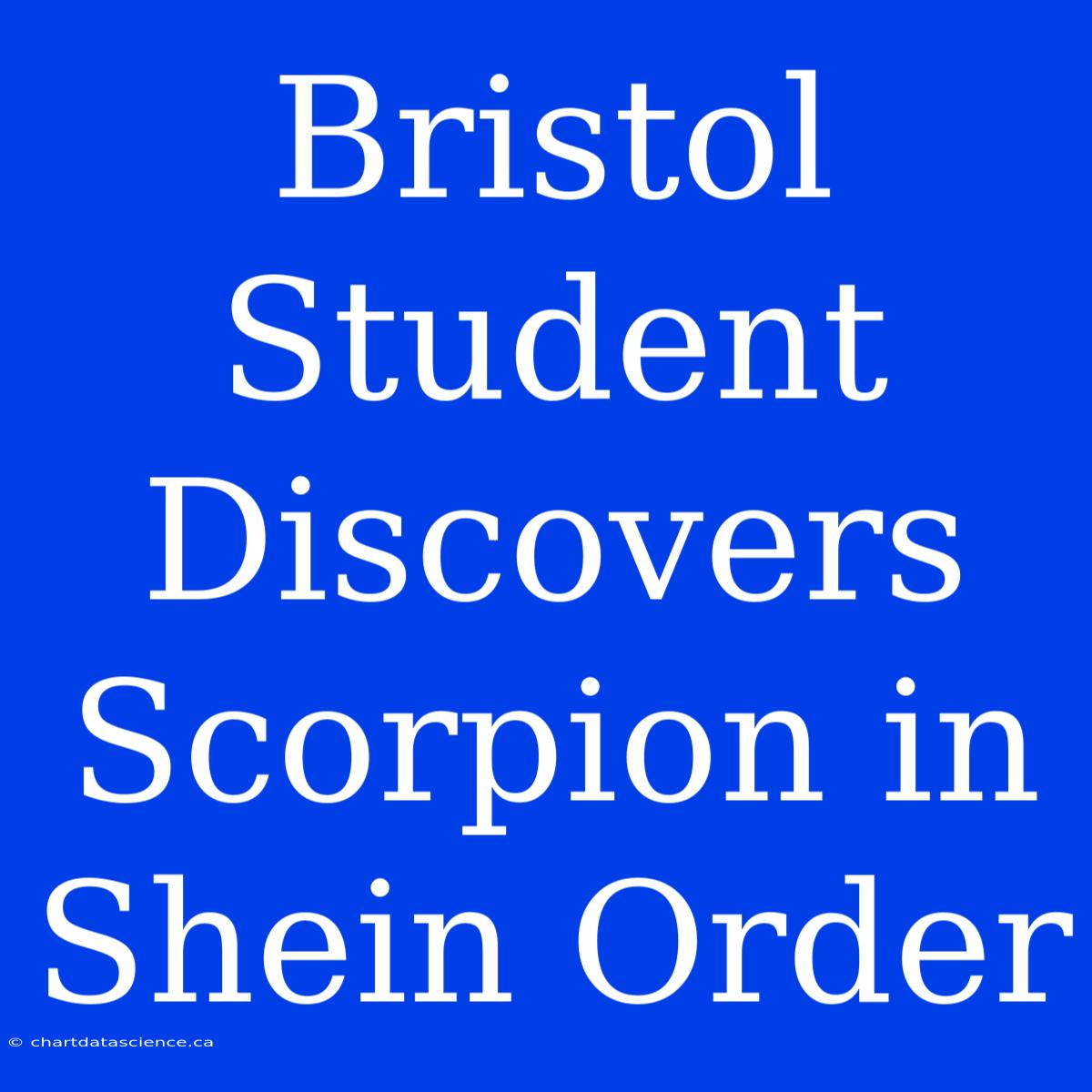 Bristol Student Discovers Scorpion In Shein Order