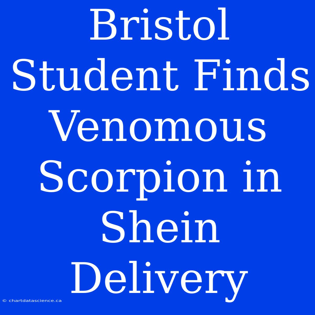 Bristol Student Finds Venomous Scorpion In Shein Delivery