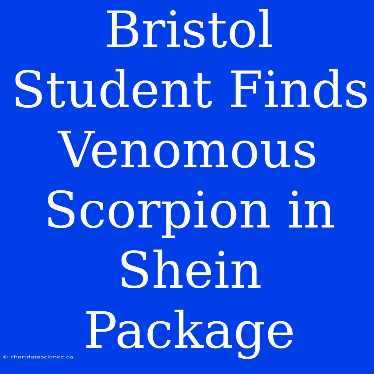 Bristol Student Finds Venomous Scorpion In Shein Package