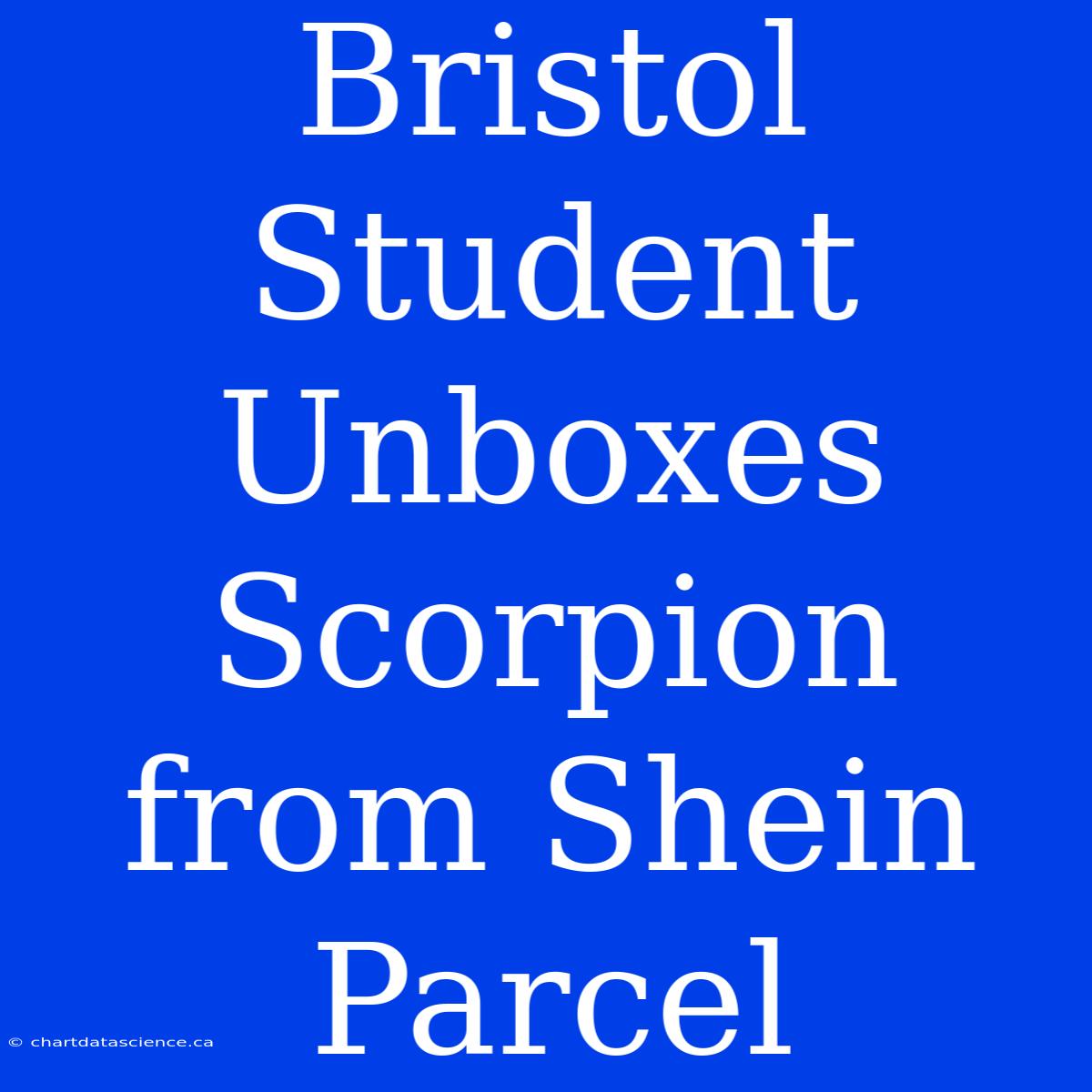 Bristol Student Unboxes Scorpion From Shein Parcel