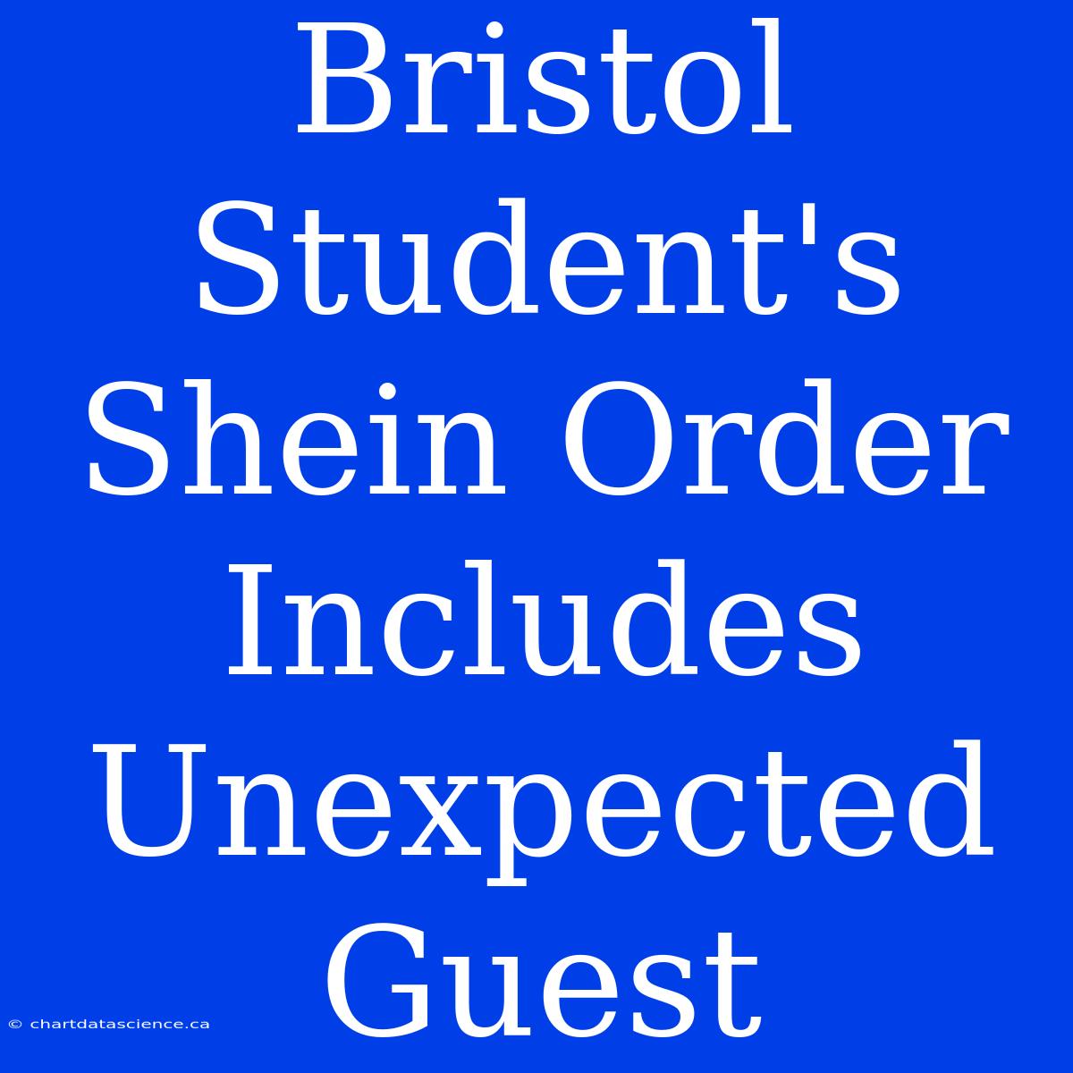 Bristol Student's Shein Order Includes Unexpected Guest