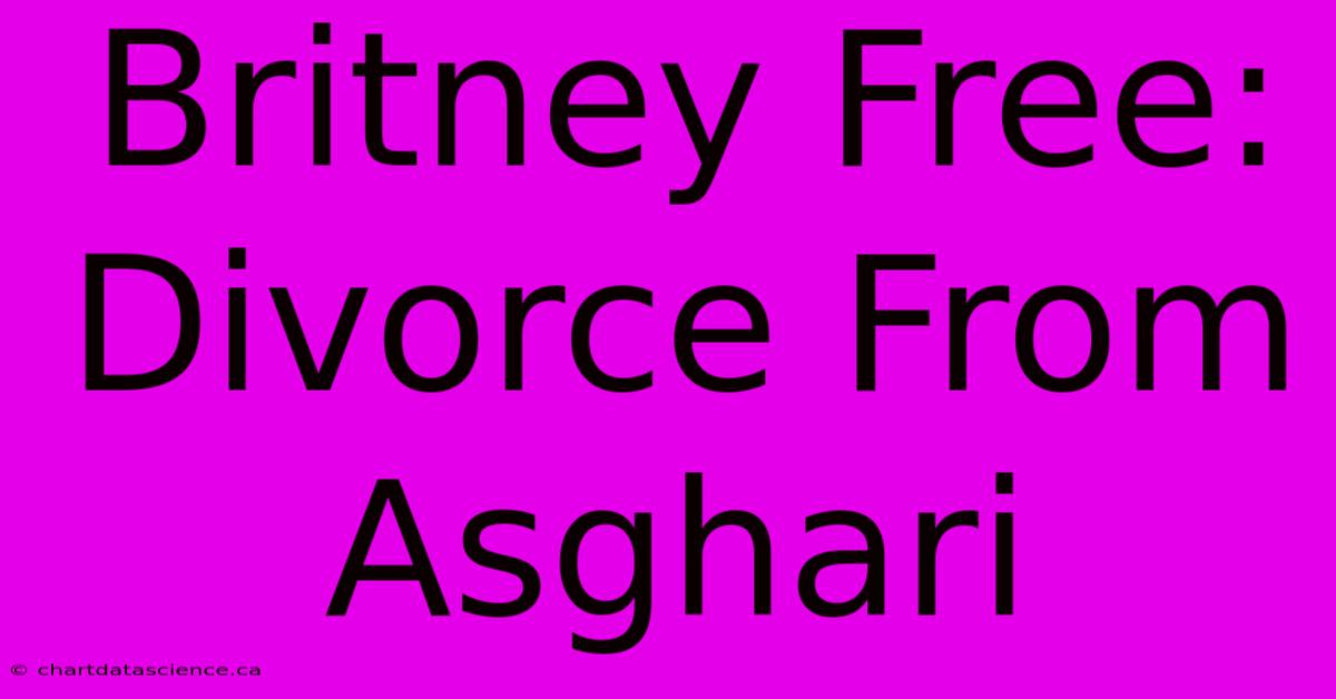 Britney Free: Divorce From Asghari