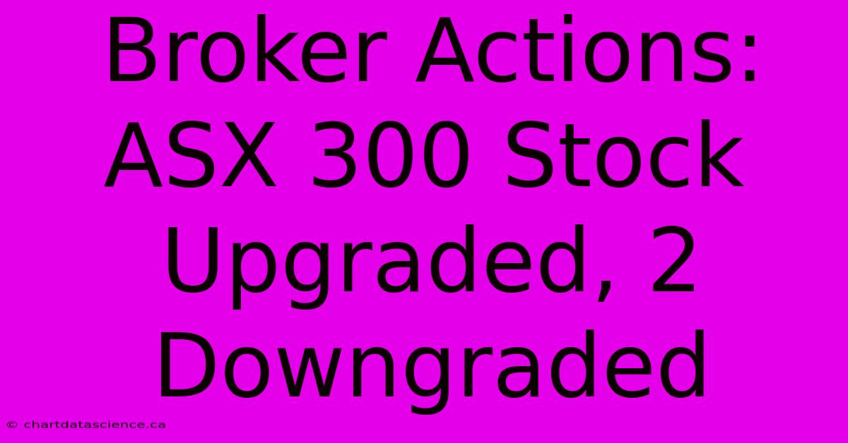 Broker Actions: ASX 300 Stock Upgraded, 2 Downgraded 