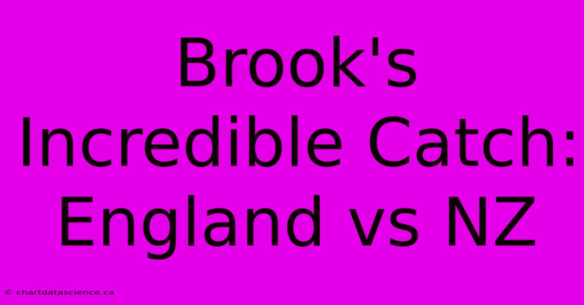 Brook's Incredible Catch: England Vs NZ