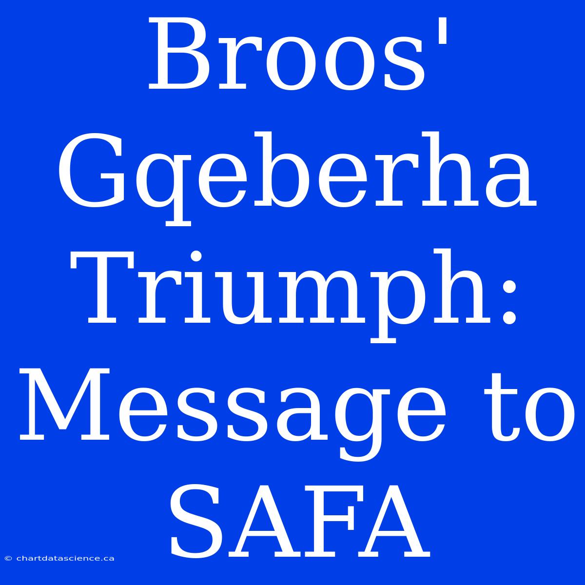 Broos' Gqeberha Triumph: Message To SAFA