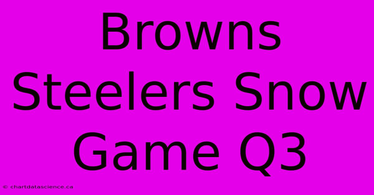 Browns Steelers Snow Game Q3