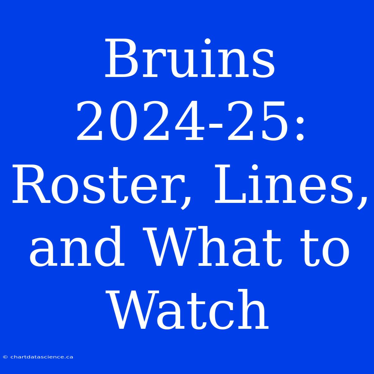 Bruins 2024-25:  Roster, Lines, And What To Watch