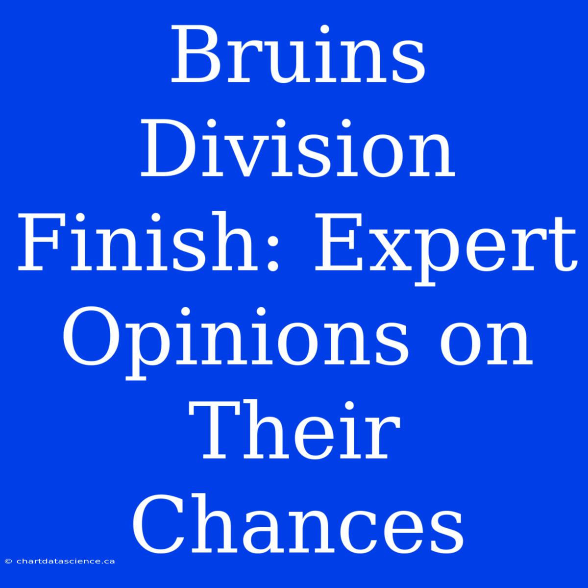 Bruins Division Finish: Expert Opinions On Their Chances