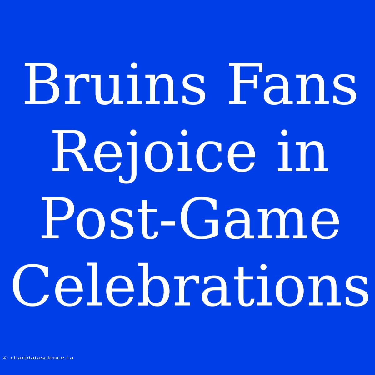 Bruins Fans Rejoice In Post-Game Celebrations