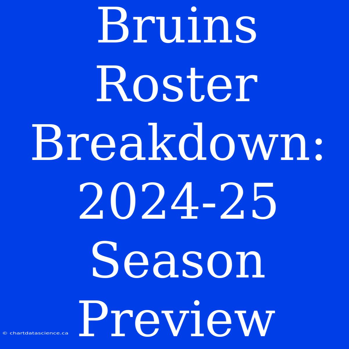 Bruins Roster Breakdown: 2024-25 Season Preview