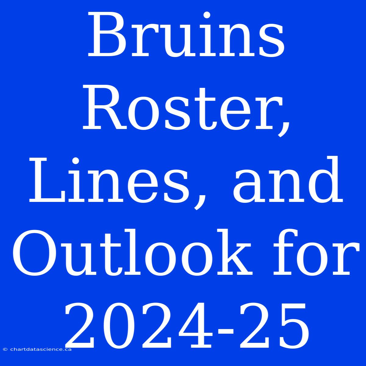 Bruins Roster, Lines, And Outlook For 202425